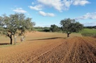 property gallery 5
