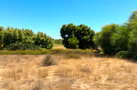 property gallery 5