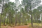 property gallery 10