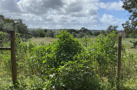 property gallery 2