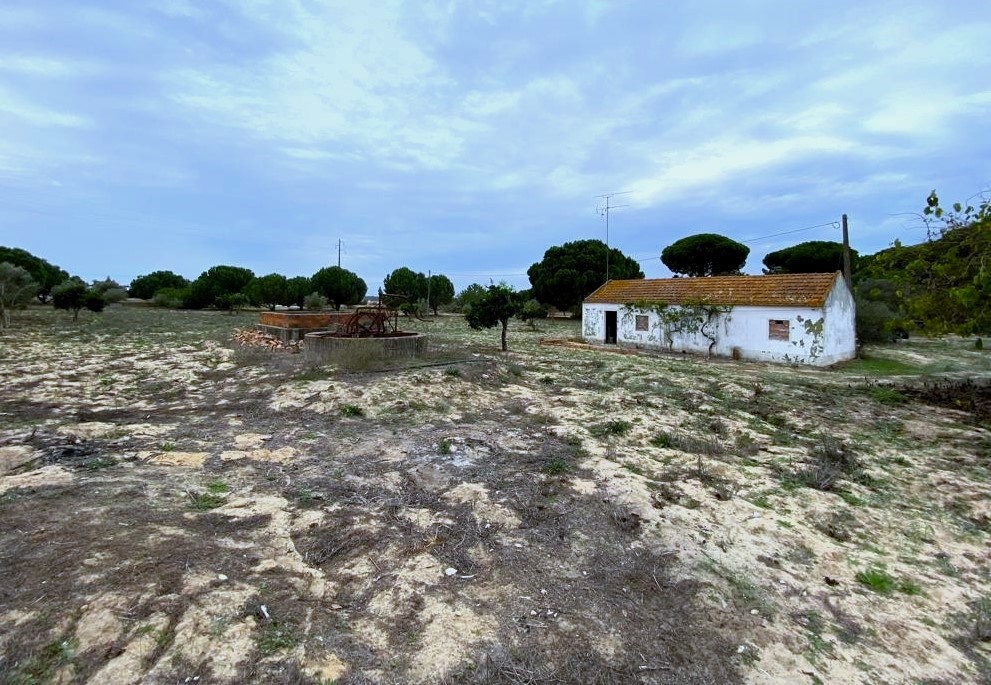 For Sale Land Plot For Villa Construction Alcácer Do Sal Setúbal Portugal Ter4683ar00 Destaque 1