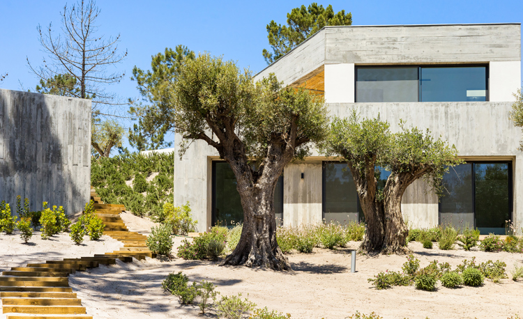 property gallery 2