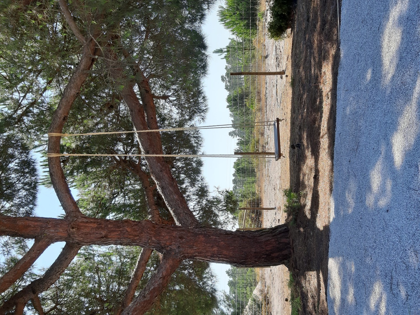 gallery image 15