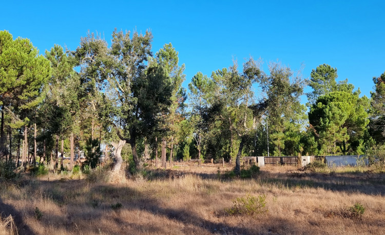 property gallery 1