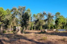 property gallery 1