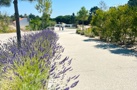 property gallery 14
