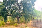 property gallery 5