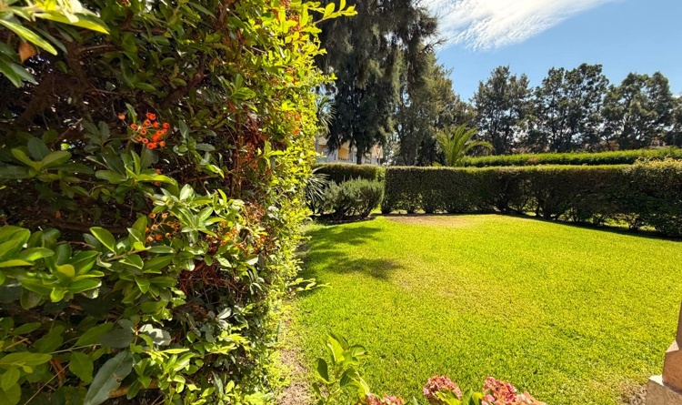 property gallery 13