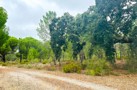 property gallery 8