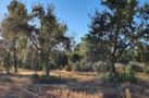 property gallery 5