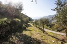 property gallery 3