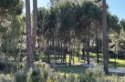property gallery 3