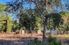 property gallery 4