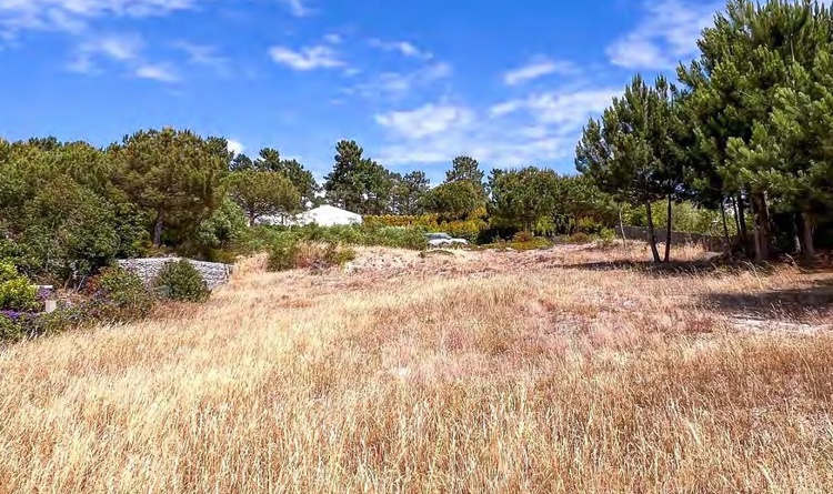 property gallery 16