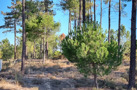 property gallery 3
