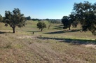 property gallery 11