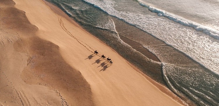 What to do in a day in Comporta