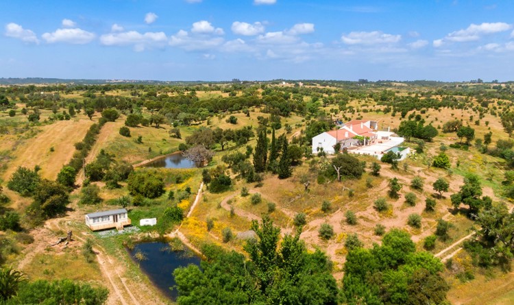 property gallery 8
