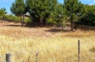 property gallery 14